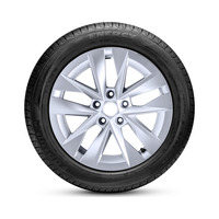 225/60  R17  Pirelli Formula Energy 99H Вид 2
