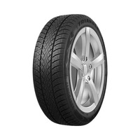 195/55  R15  Triangle WinterX TW401 85H